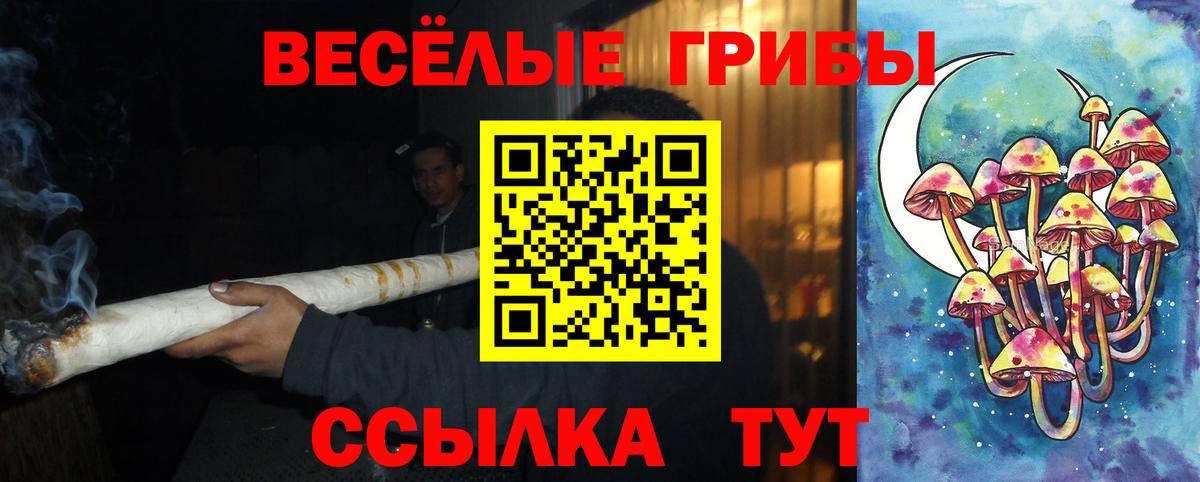 Галлюциногенные грибы Psilocybe  Вход с VPN  Заволжье 